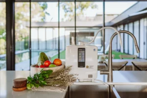 Countertop water ionizer next to a sink, with a bowl of colorful fruits and herbs, in a bright kitchen with large glass doors overlooking a garden.