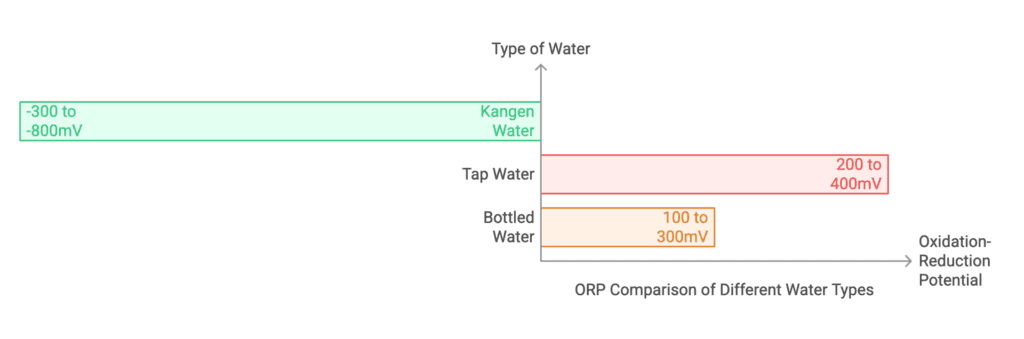 Chart comparing ORP levels of water types: Kangen Water (-300 to -800mV), Tap Water (200 to 400mV), Bottled Water (100 to 300mV), with ORP on the vertical axis.