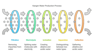 Infographic of the Kangen water production process, illustrating steps: Filtration, Electrolysis, Ionization, Separation, and Collection with arrows and labeled descriptions.
