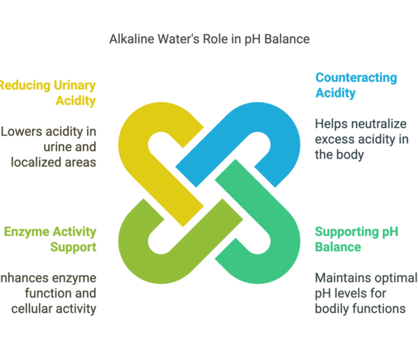 Infographic titled "Alkaline Water's Role in pH Balance" showing benefits like reducing urinary acidity, counteracting acidity, enzyme activity support, and supporting pH balance.