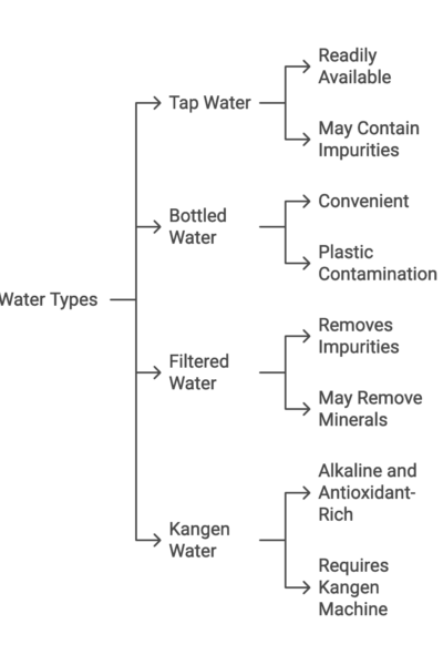Flowchart of water types: Tap, Bottled, Filtered, and Kangen. Each has pros and cons like availability, impurities, plastic contamination, mineral removal, and specific requirements.